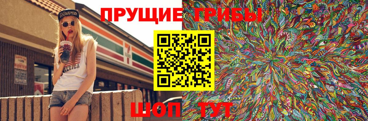 Сыктывкар  сколько стоит  Вход с VPN  Галлюциногенные грибы Psilocybe 